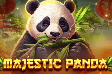 150 aed প্ল্যাটফর্মে বাংলাদেশের খেলোয়াড়দের অনলাইন গেমিং অভিজ্ঞতা